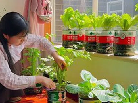 Cô gái biến ban công 6m² thành vườn rau hơn 20 loại: Mỗi ngày chăm 10 phút, rau xanh ăn không hết
