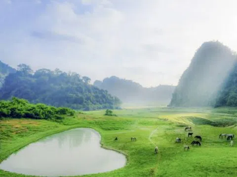 5 điểm đến "chữa lành" gần Hà Nội vừa tiết kiệm lại di chuyển nhanh, giúp du khách tận hưởng không gian xanh