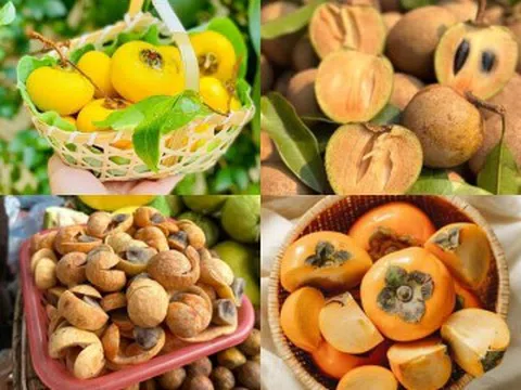 5 loại quả “ôm trọn” hương vị mùa thu Hà Nội, thơm ngon giá rẻ, là đặc sản nức tiếng để mua về làm quà