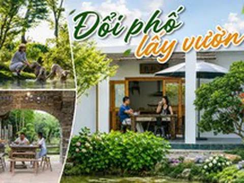 Nữ giáo viên rời trung tâm thành phố, dành 16 năm làm khu vườn 400m²: Chi phí sống giảm, nhà lại rộng hơn