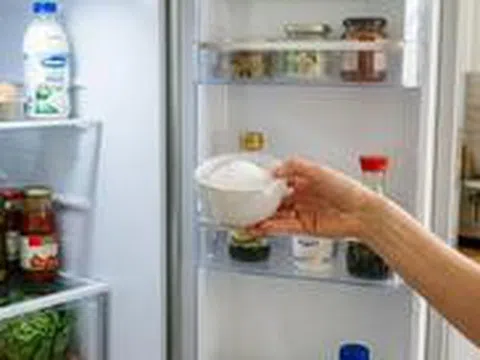 Vì sao nhiều gia đình đặt một bát muối vào ngăn mát tủ lạnh? Lý do nằm ở một vấn đề ít ai để ý
