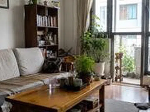 4 dấu hiệu ngôi nhà đang có sinh khí tốt