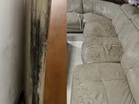 Nhà mới ở 2 năm đã "hơi cũ": Tôi phát hiện 7 thói quen âm thầm bào mòn mọi thứ bên trong