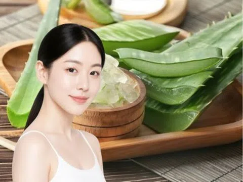 5 cách làm đẹp với nha đam giúp da bớt khô ráp, giảm cảm giác nóng rát ngày Hè