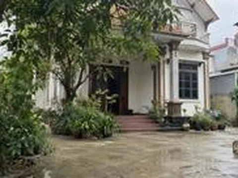 8 dấu hiệu cho thấy nhà bạn đang ở trên một mảnh "đất lành"