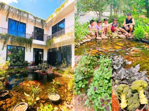 Nữ giáo viên rời Hà Nội về quê xây biệt thự vườn 600m², chi phí 4 tỷ, hồ cá trước nhà đẹp ngỡ ngàng