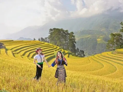 Mù Cang Chải mùa lúa chín đẹp như tranh