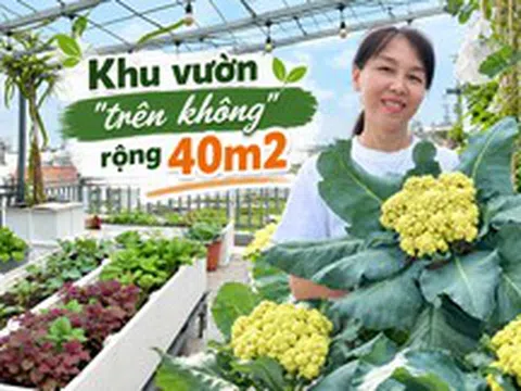 Khu vườn 40m² trên sân thượng ở TP.HCM: Rau xanh ăn quanh năm, chiều nào gia chủ cũng lên “xả stress”