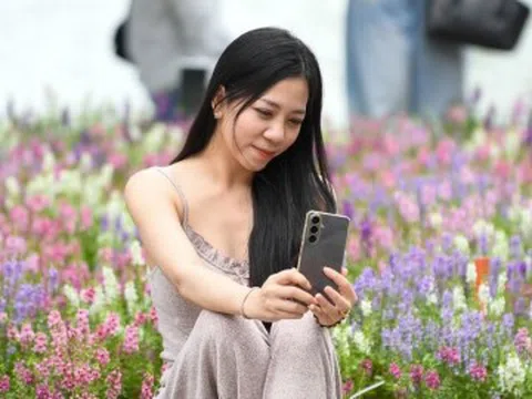 Nàng thơ nô nức check-in với loài hoa mới lạ ở Bờ Hồ