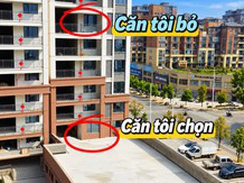 Mua căn hộ tầng thấp được tặng sân rộng, chủ nhà hào hứng làm vườn: 6 tháng sau phải tháo gần hết vì 4 rắc rối này