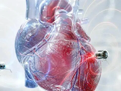 Robot bé bằng hạt gạo giúp chữa nhiễm trùng tim từ bên trong