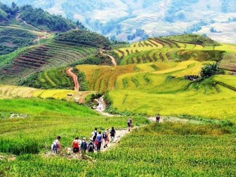 5 cung đường trekking dọc miền đất nước, có nơi là “nóc nhà” Đông Dương, thách thức dân phượt
