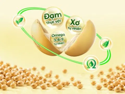 Dưỡng chất đậu nành: Bí quyết dưỡng da từ bên trong